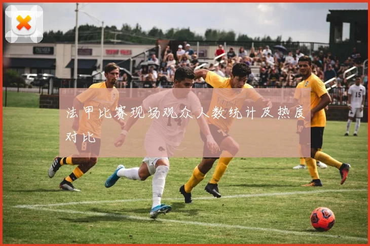 法甲比赛现场观众人数统计及热度对比