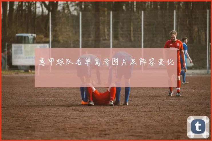 意甲球队名单高清图片及阵容变化