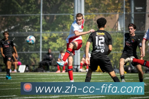 世界杯赛程平台生态图