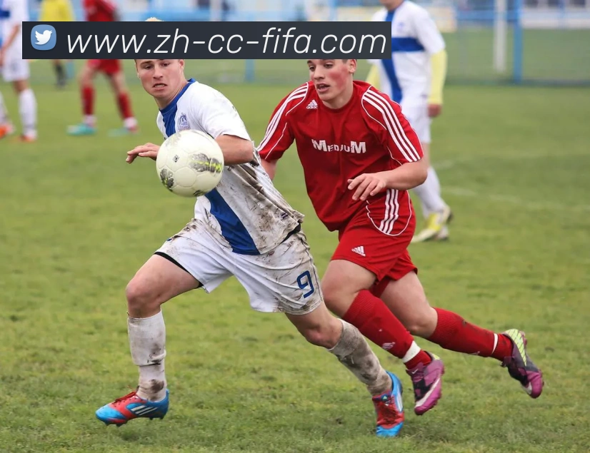 数据防护可视化