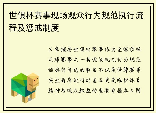 世俱杯赛事现场观众行为规范执行流程及惩戒制度