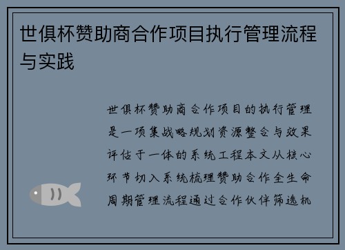 世俱杯赞助商合作项目执行管理流程与实践
