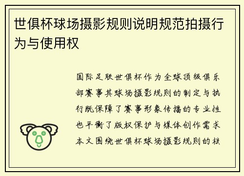 世俱杯球场摄影规则说明规范拍摄行为与使用权